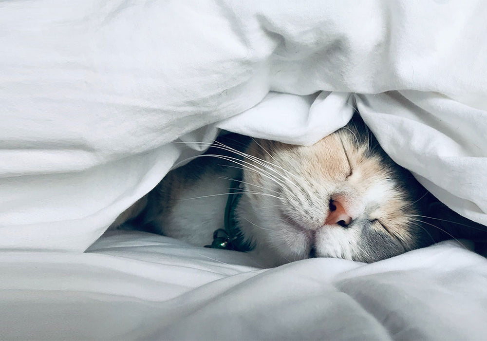 Sleep better tonight - 3 proven tips for enhanced sleep quality.